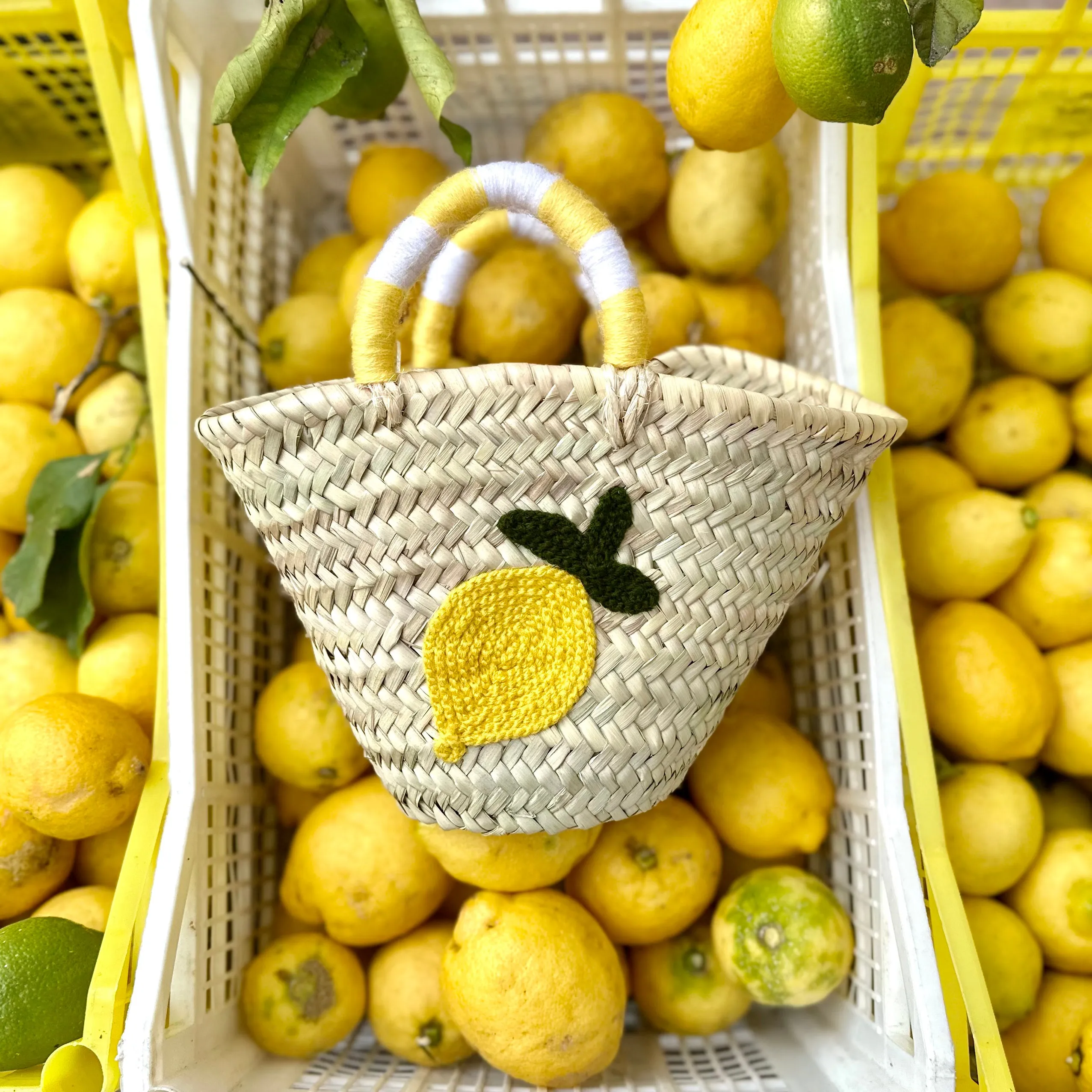 Lemon Straw Frutta Bag