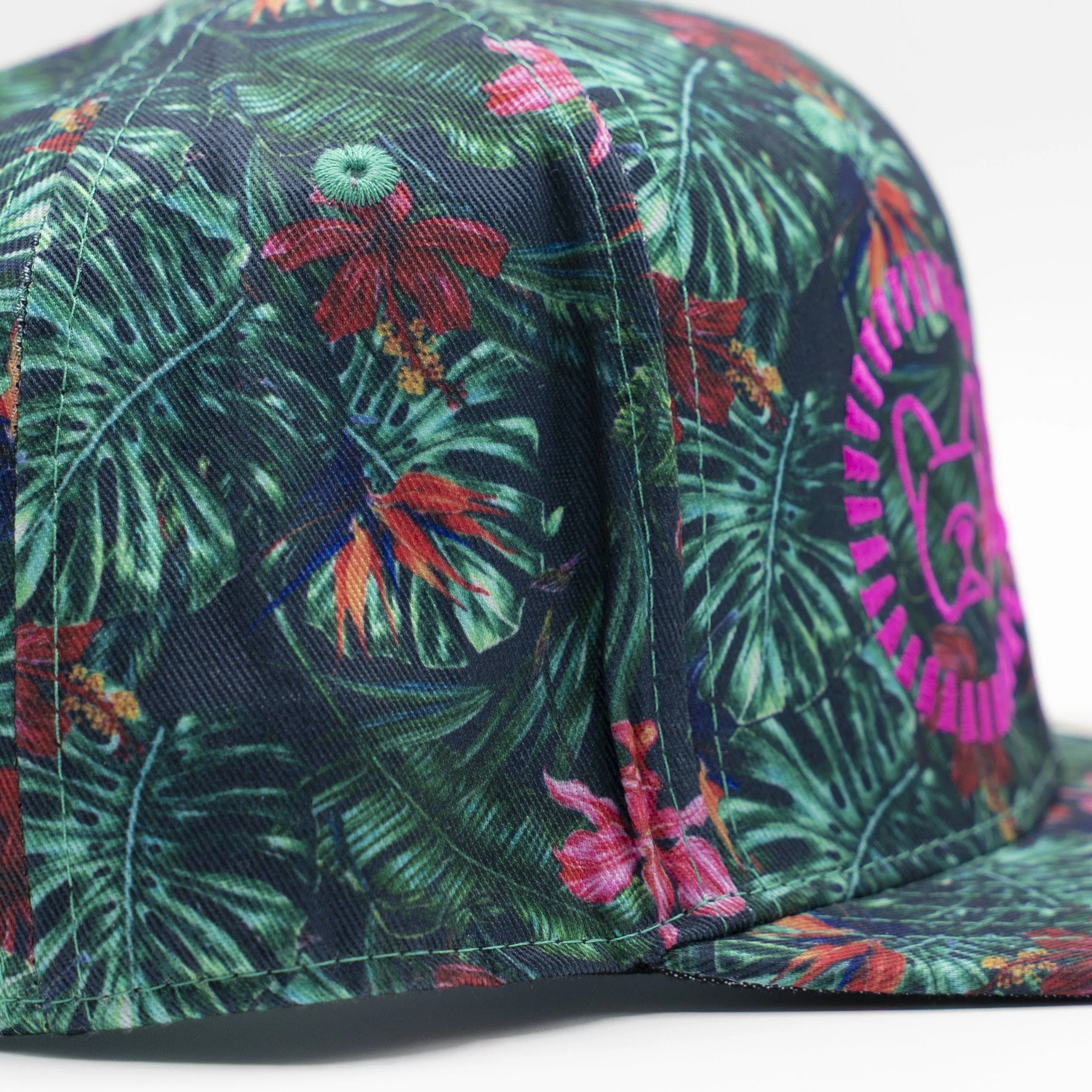 Limited Edition Snapbacks (Final Sale)