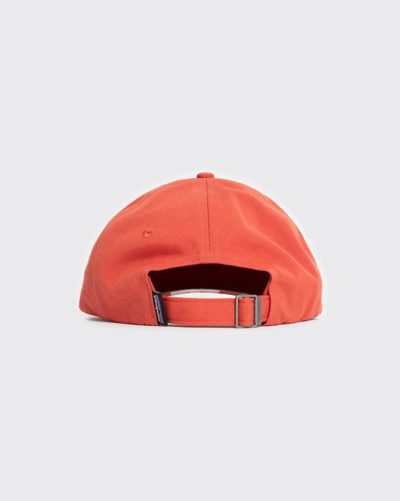 Patagonia P-6 Label Trad Cap